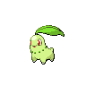 Chikorita