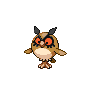 Hoothoot