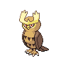 Noctowl