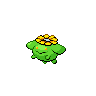 Skiploom