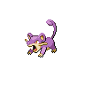 Rattata