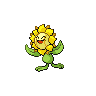 Sunflora