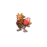 Spearow