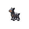 Houndour