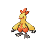 Combusken