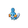 Mudkip