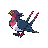 Swellow