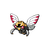 Ninjask