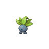 Oddish