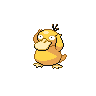 Psyduck