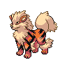 Arcanine