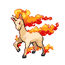 Rapidash