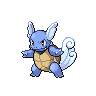 Wartortle