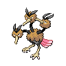 Dodrio